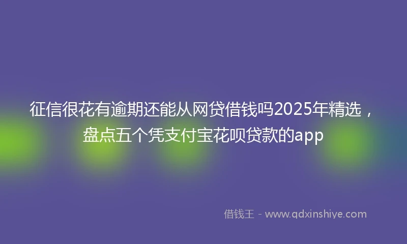 征信很花有逾期还能从网贷借钱吗2025年精选，盘点五个凭支付宝花呗贷款的app