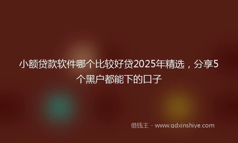 小额贷款软件哪个比较好贷2025年精选，分享5个黑户都能下的口子
