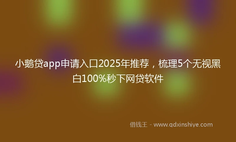 小鹅贷app申请入口2025年推荐，梳理5个无视黑白100%秒下网贷软件