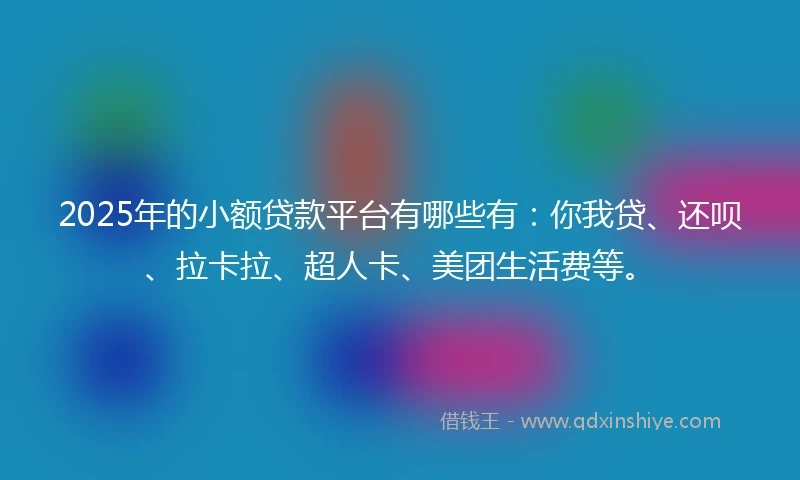 2025年的小额贷款平台有哪些有：你我贷、还呗、拉卡拉、超人卡、美团生活费等。