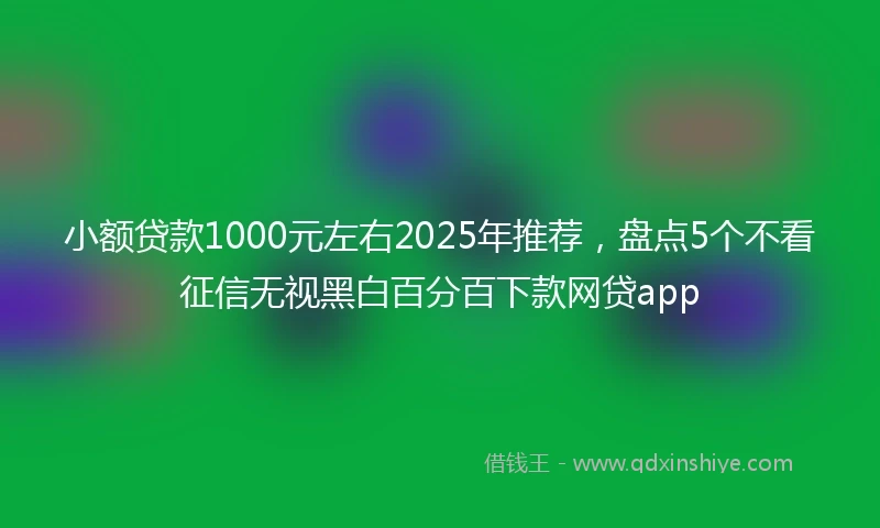 小额贷款1000元左右2025年推荐，盘点5个不看征信无视黑白百分百下款网贷app