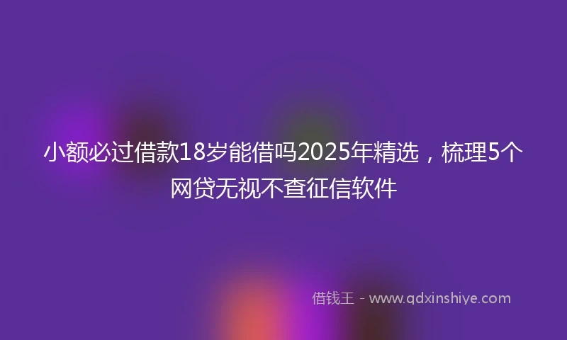 小额必过借款18岁能借吗2025年精选，梳理5个网贷无视不查征信软件