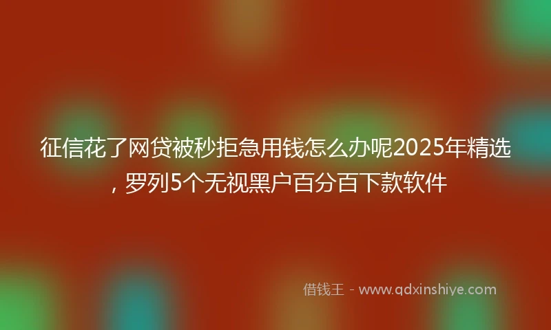 征信花了网贷被秒拒急用钱怎么办呢2025年精选,罗列5个无视黑户百分百下款软件