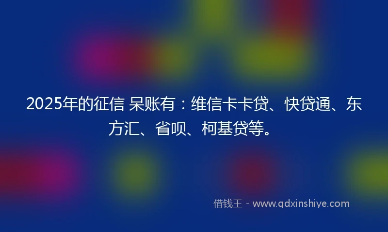 2025年的征信 呆账有：维信卡卡贷、快贷通、东方汇、省呗、柯基贷等。