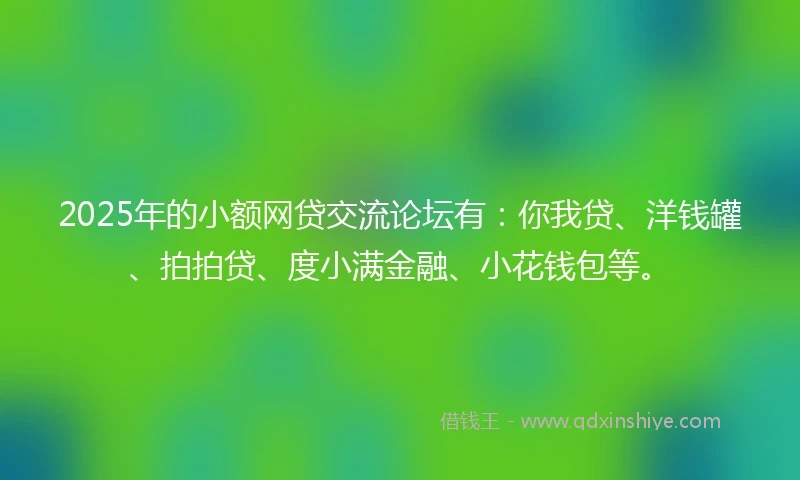 2025年的小额网贷交流论坛有：你我贷、洋钱罐、拍拍贷、度小满金融、小花钱包等。