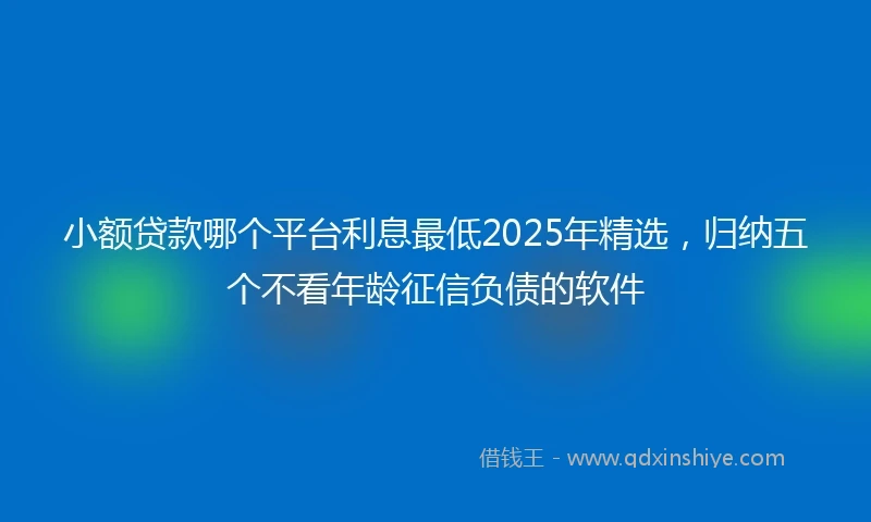 小额贷款哪个平台利息最低2025年精选，归纳五个不看年龄征信负债的软件