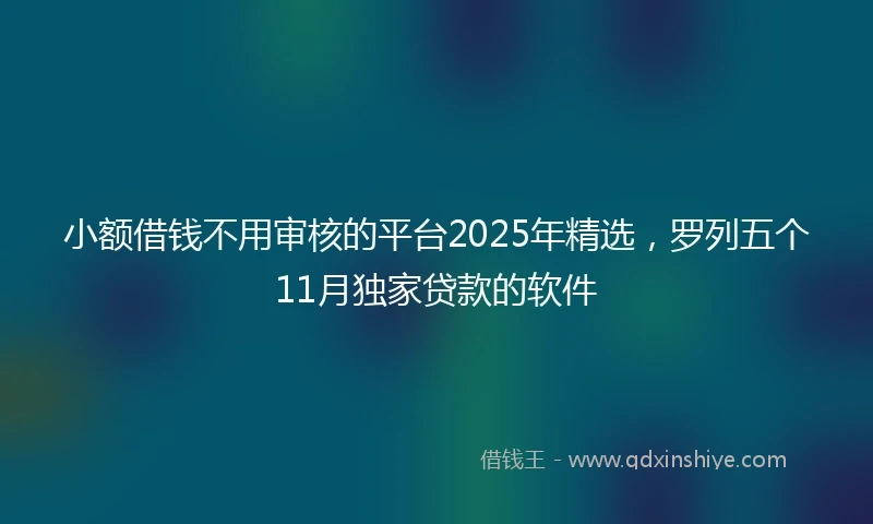 小额借钱不用审核的平台2025年精选，罗列五个11月独家贷款的软件