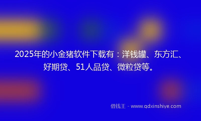 2025年的小金猪软件下载有：洋钱罐、东方汇、好期贷、51人品贷、微粒贷等。