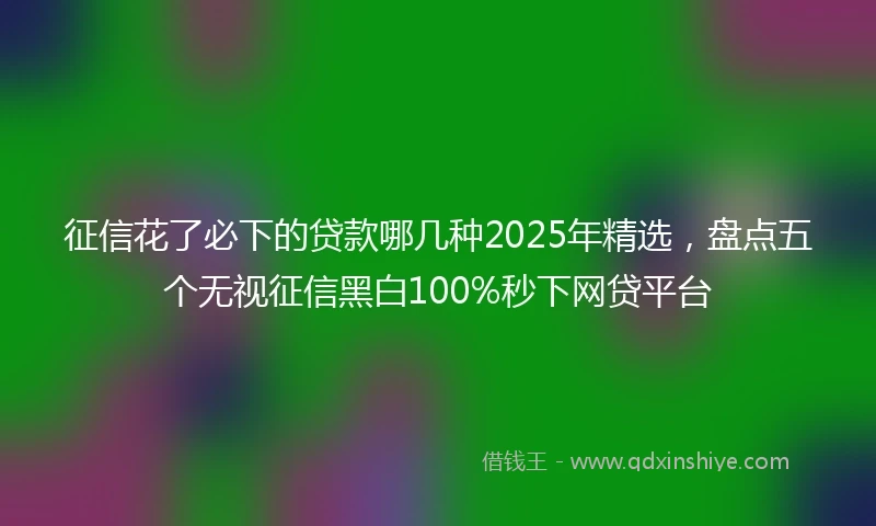 征信花了必下的贷款哪几种2025年精选，盘点五个无视征信黑白100%秒下网贷平台