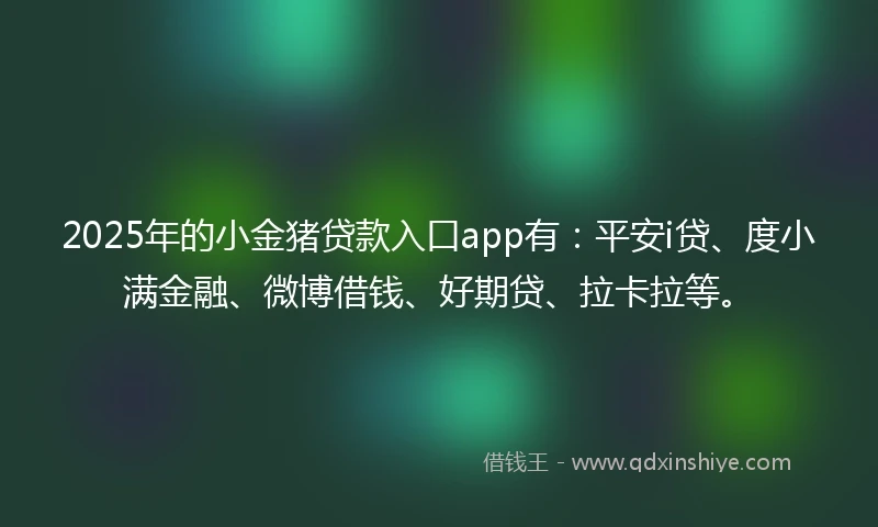 2025年的小金猪贷款入口app有：平安i贷、度小满金融、微博借钱、好期贷、拉卡拉等。