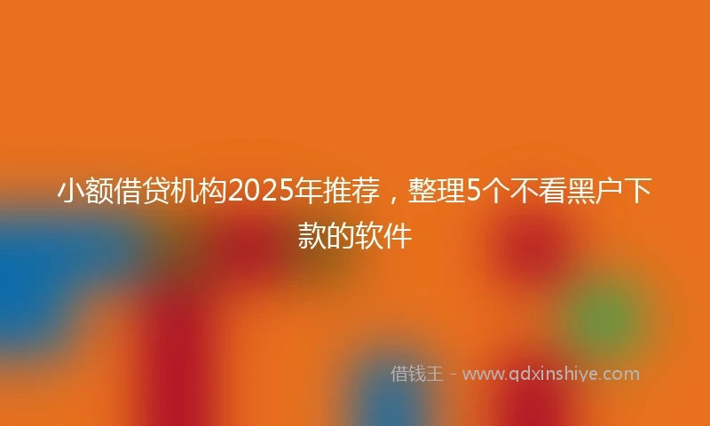 小额借贷机构2025年推荐，整理5个不看黑户下款的软件