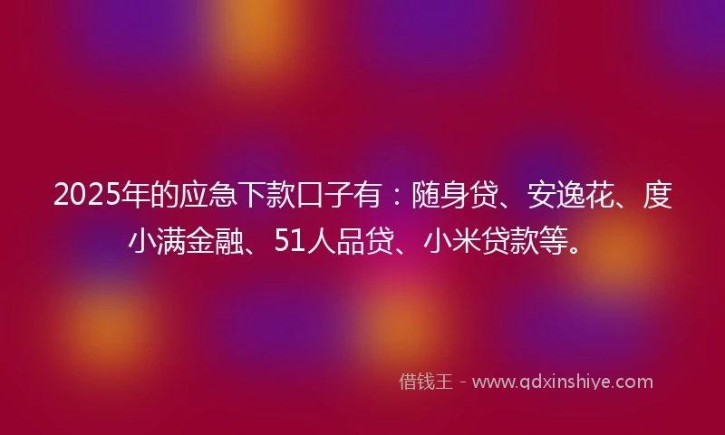 2025年的应急下款口子有：随身贷、安逸花、度小满金融、51人品贷、小米贷款等。