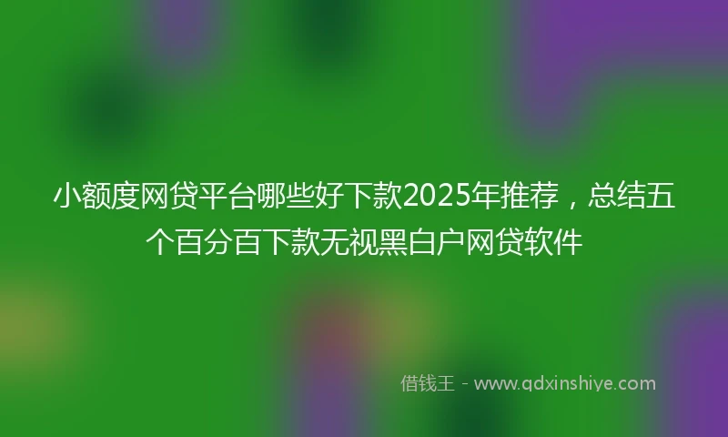 小额度网贷平台哪些好下款2025年推荐，总结五个百分百下款无视黑白户网贷软件