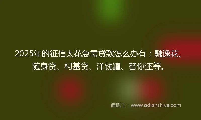 2025年的征信太花急需贷款怎么办有：融逸花、随身贷、柯基贷、洋钱罐、替你还等。