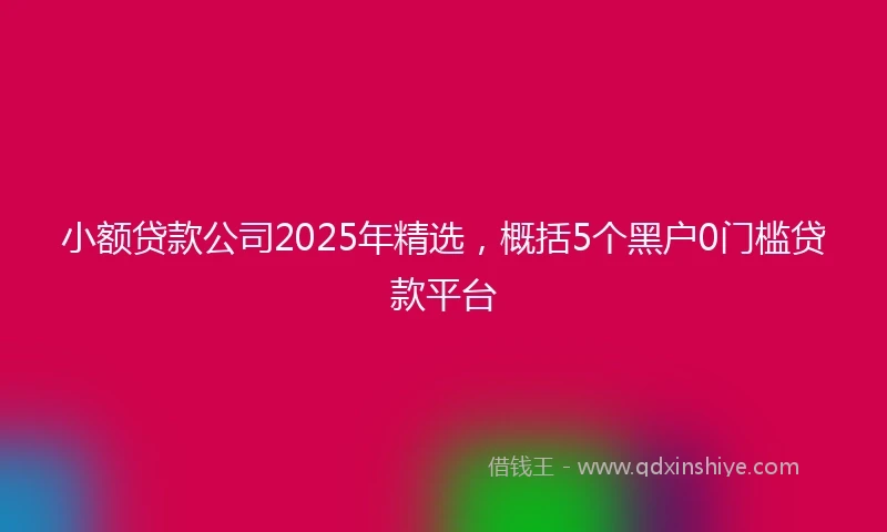 小额贷款公司2025年精选，概括5个黑户0门槛贷款平台