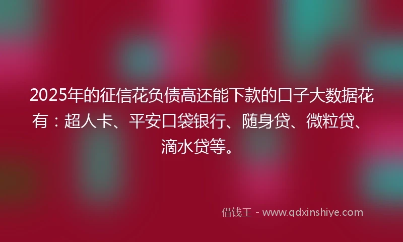 2025年的征信花负债高还能下款的口子大数据花有：超人卡、平安口袋银行、随身贷、微粒贷、滴水贷等。