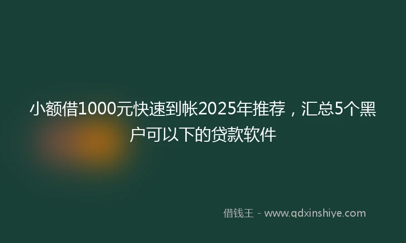 小额借1000元快速到帐2025年推荐，汇总5个黑户可以下的贷款软件