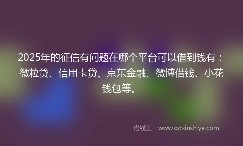 2025年的征信有问题在哪个平台可以借到钱有：微粒贷、信用卡贷、京东金融、微博借钱、小花钱包等。