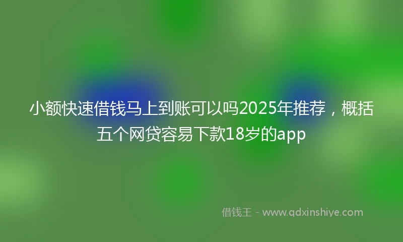 小额快速借钱马上到账可以吗2025年推荐，概括五个网贷容易下款18岁的app