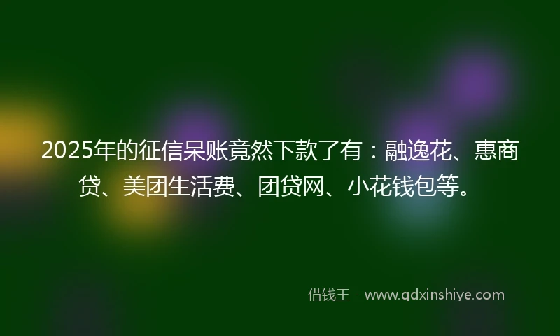 2025年的征信呆账竟然下款了有：融逸花、惠商贷、美团生活费、团贷网、小花钱包等。