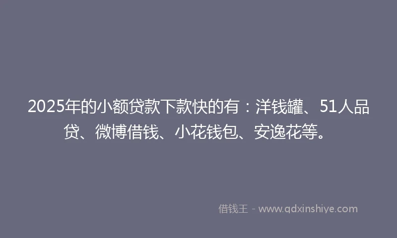 2025年的小额贷款下款快的有：洋钱罐、51人品贷、微博借钱、小花钱包、安逸花等。
