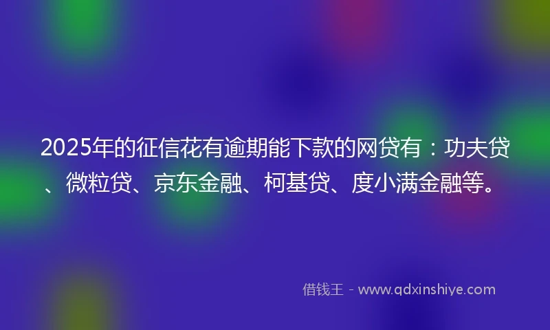 2025年的征信花有逾期能下款的网贷有：功夫贷、微粒贷、京东金融、柯基贷、度小满金融等。