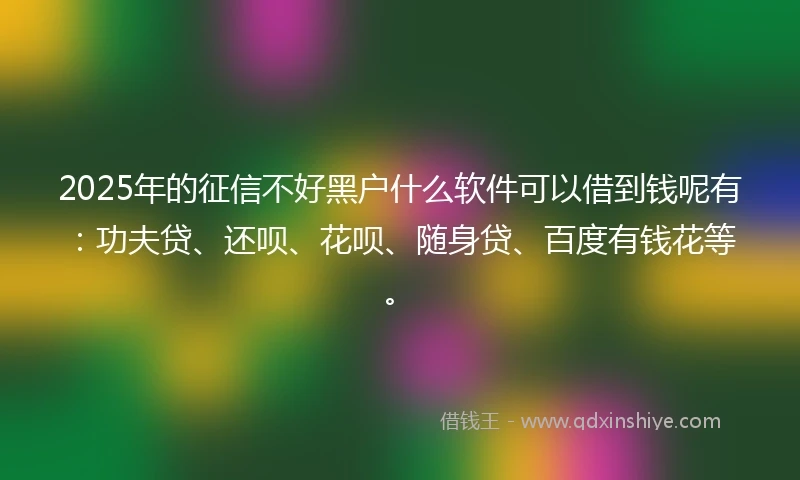 2025年的征信不好黑户什么软件可以借到钱呢有:功夫贷、还呗、花呗、随身贷、百度有钱花等。