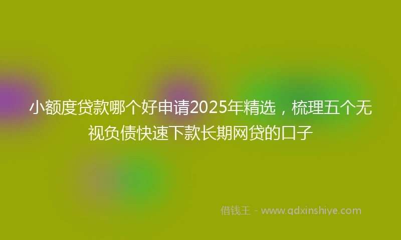 小额度贷款哪个好申请2025年精选，梳理五个无视负债快速下款长期网贷的口子