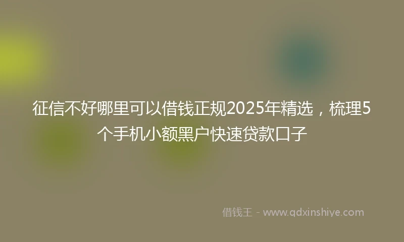 征信不好哪里可以借钱正规2025年精选，梳理5个手机小额黑户快速贷款口子