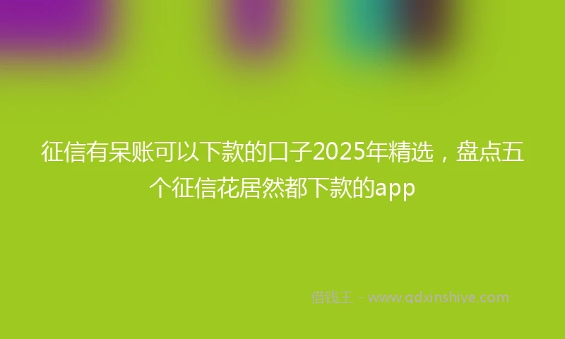 征信有呆账可以下款的口子2025年精选，盘点五个征信花居然都下款的app