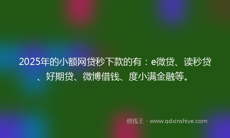 2025年的小额网贷秒下款的有：e微贷、读秒贷、好期贷、微博借钱、度小满金融等。