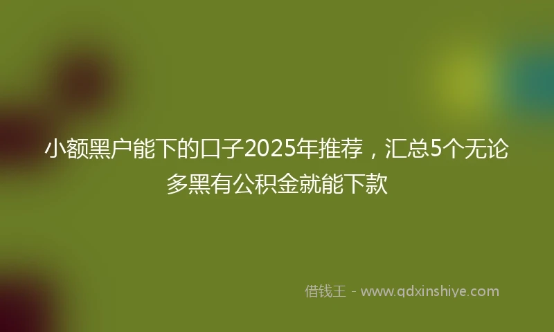 小额黑户能下的口子2025年推荐，汇总5个无论多黑有公积金就能下款