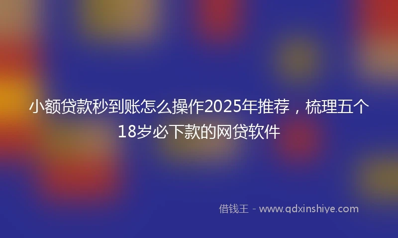 小额贷款秒到账怎么操作2025年推荐，梳理五个18岁必下款的网贷软件