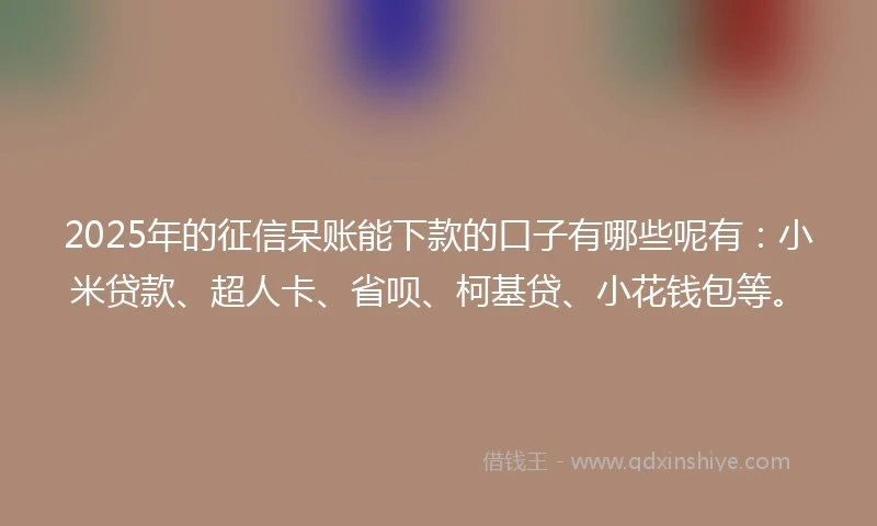 2025年的征信呆账能下款的口子有哪些呢有:小米贷款、超人卡、省呗、柯基贷、小花钱包等。