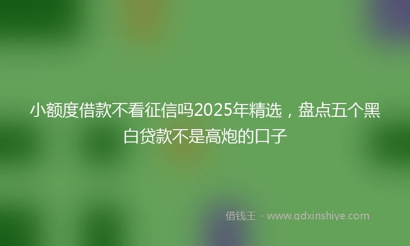 小额度借款不看征信吗2025年精选，盘点五个黑白贷款不是高炮的口子