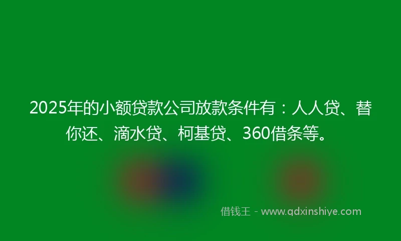 2025年的小额贷款公司放款条件有：人人贷、替你还、滴水贷、柯基贷、360借条等。