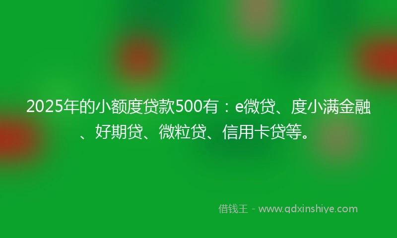 2025年的小额度贷款500有：e微贷、度小满金融、好期贷、微粒贷、信用卡贷等。