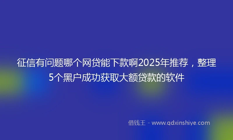征信有问题哪个网贷能下款啊2025年推荐，整理5个黑户成功获取大额贷款的软件