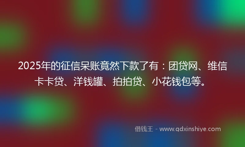 2025年的征信呆账竟然下款了有：团贷网、维信卡卡贷、洋钱罐、拍拍贷、小花钱包等。