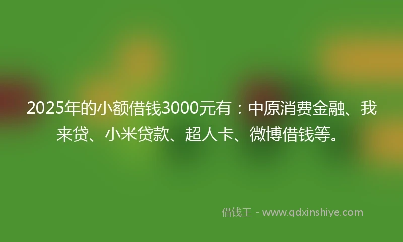 2025年的小额借钱3000元有：中原消费金融、我来贷、小米贷款、超人卡、微博借钱等。