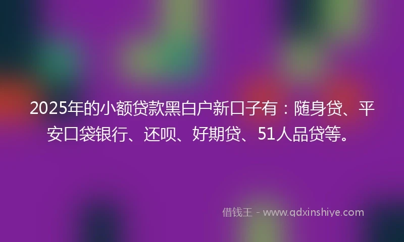 2025年的小额贷款黑白户新口子有：随身贷、平安口袋银行、还呗、好期贷、51人品贷等。