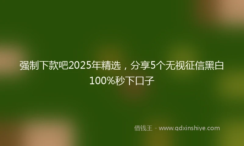 强制下款吧2025年精选，分享5个无视征信黑白100%秒下口子