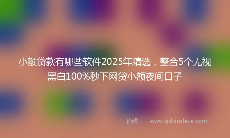 小额贷款有哪些软件2025年精选，整合5个无视黑白100%秒下网贷小额夜间口子