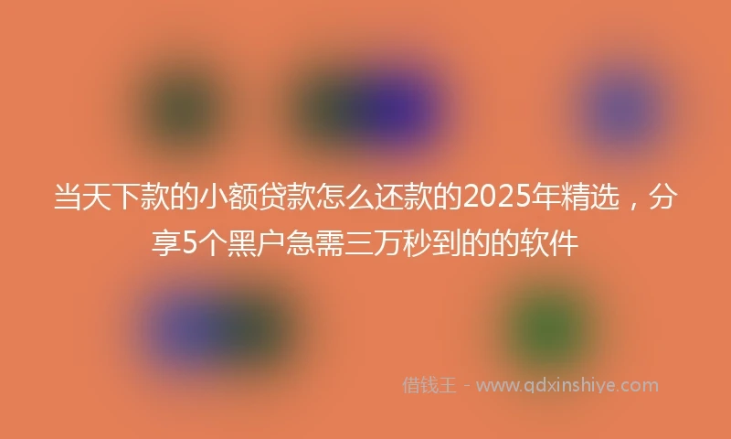 当天下款的小额贷款怎么还款的2025年精选，分享5个黑户急需三万秒到的的软件