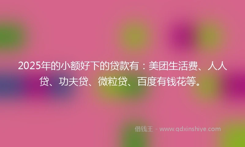 2025年的小额好下的贷款有：美团生活费、人人贷、功夫贷、微粒贷、百度有钱花等。