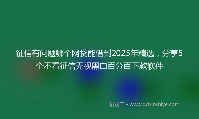 征信有问题哪个网贷能借到2025年精选，分享5个不看征信无视黑白百分百下款软件