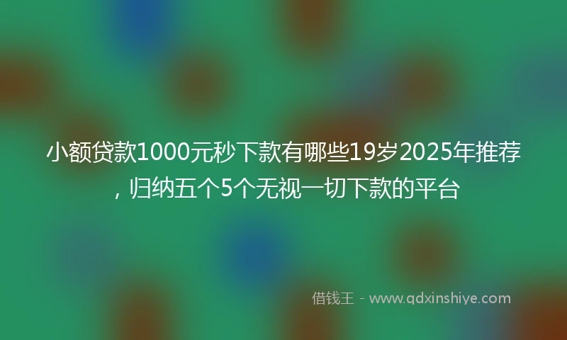 小额贷款1000元秒下款有哪些19岁2025年推荐，归纳五个5个无视一切下款的平台