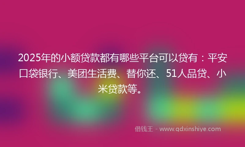 2025年的小额贷款都有哪些平台可以贷有：平安口袋银行、美团生活费、替你还、51人品贷、小米贷款等。