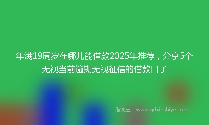 年满19周岁在哪儿能借款2025年推荐，分享5个无视当前逾期无视征信的借款口子