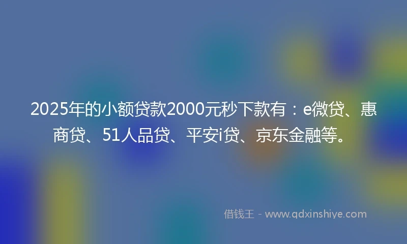 2025年的小额贷款2000元秒下款有：e微贷、惠商贷、51人品贷、平安i贷、京东金融等。